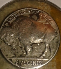 I-Would-Like-To-Know-What-They-Think-About-This-Buffalo-From-1928?.